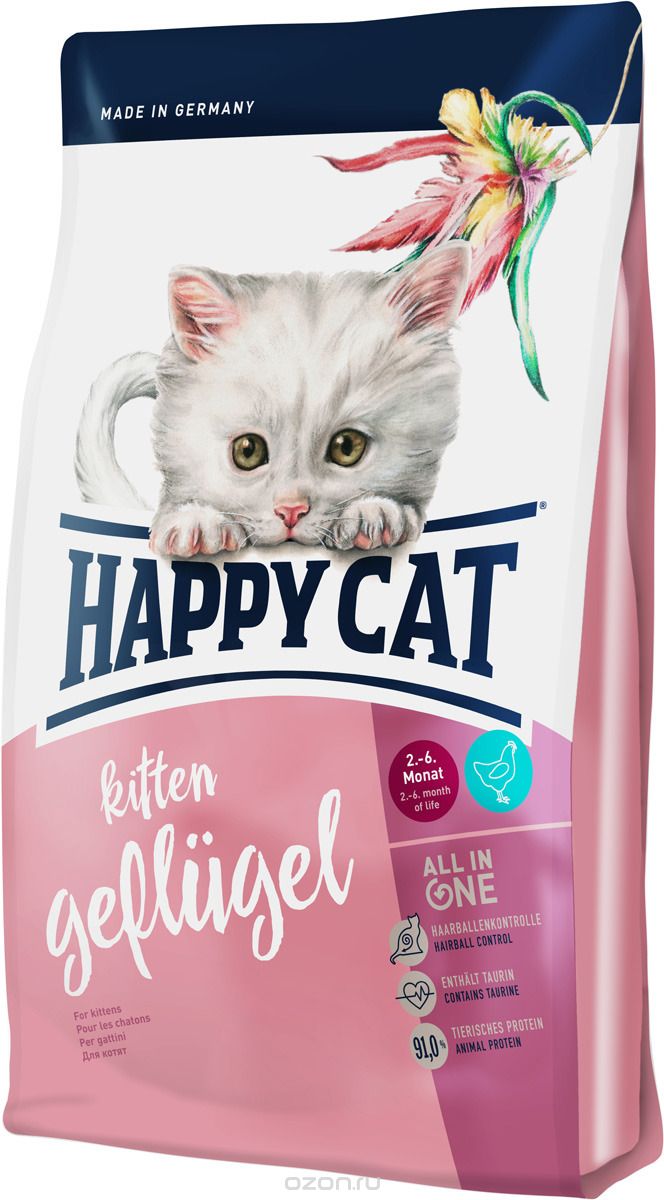   Happy Cat Kitten,  , , 1,4 